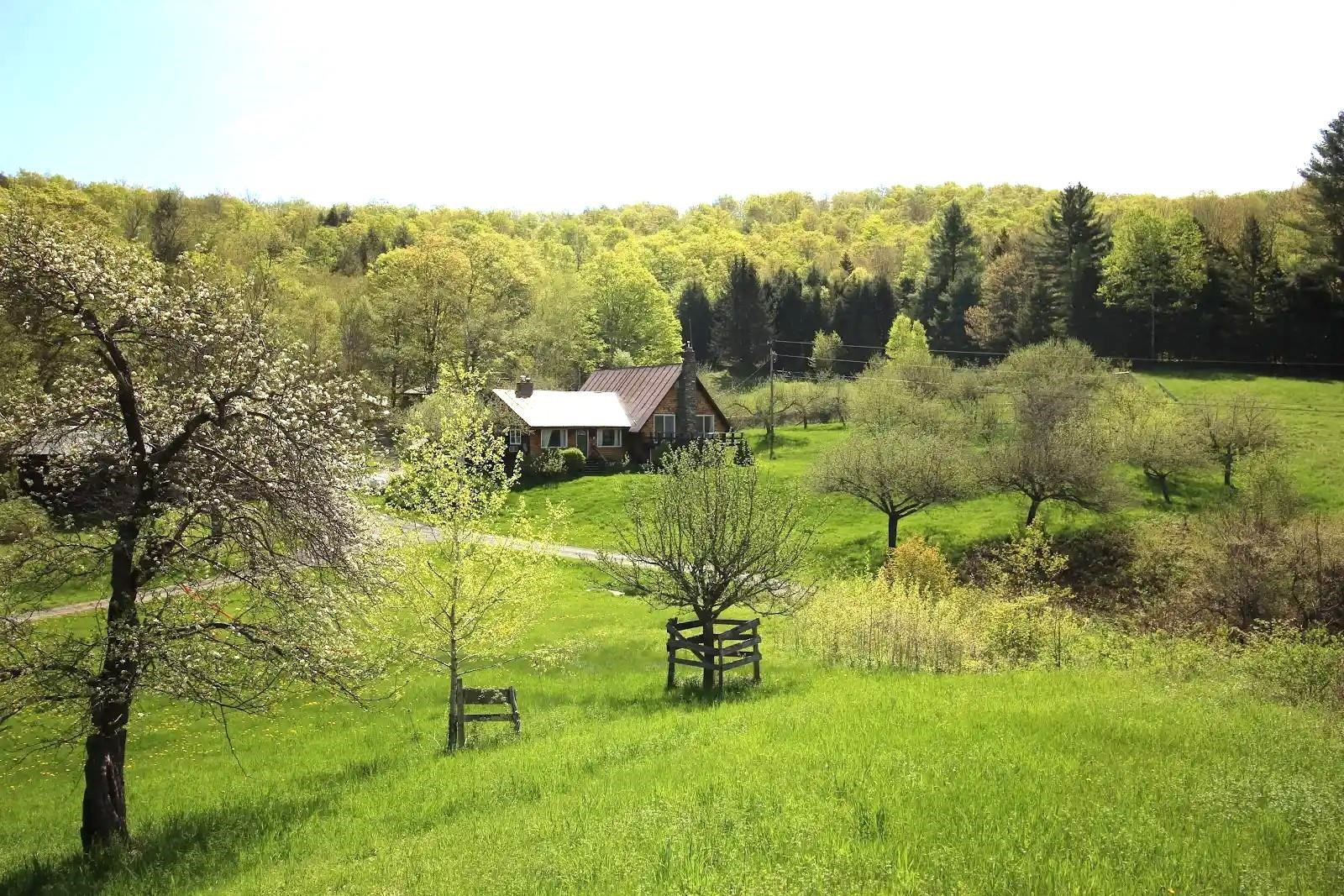 near 2067 Music Mountain Road Stockbridge, VT 05772 Property 2