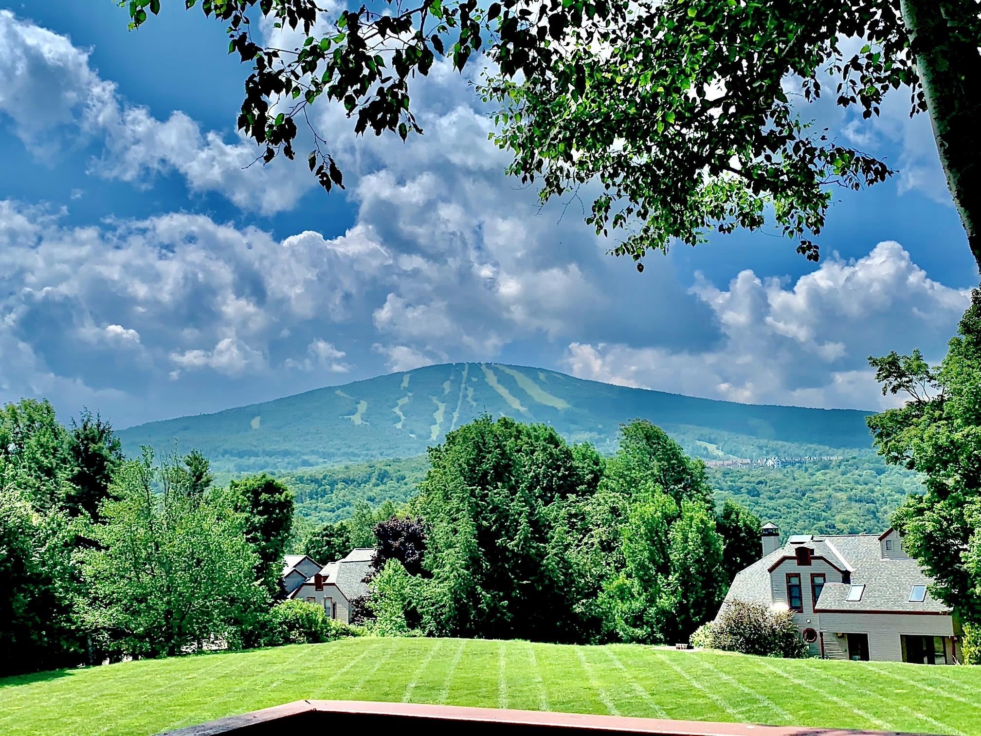 near 202 Pratt Bridge Road Jamaica, VT 05343 Property 3