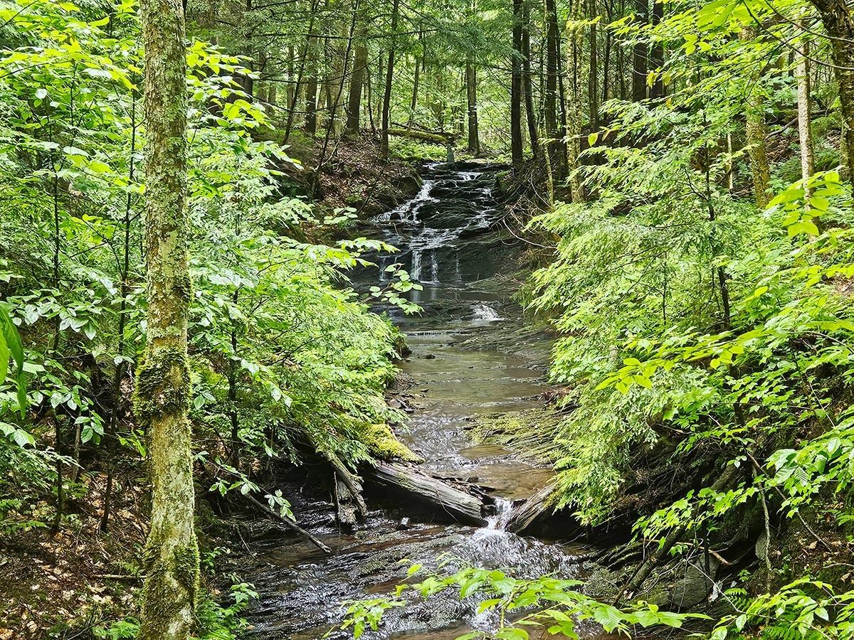near 2075 Codding Hollow Road Johnson, VT 05656 Property 2